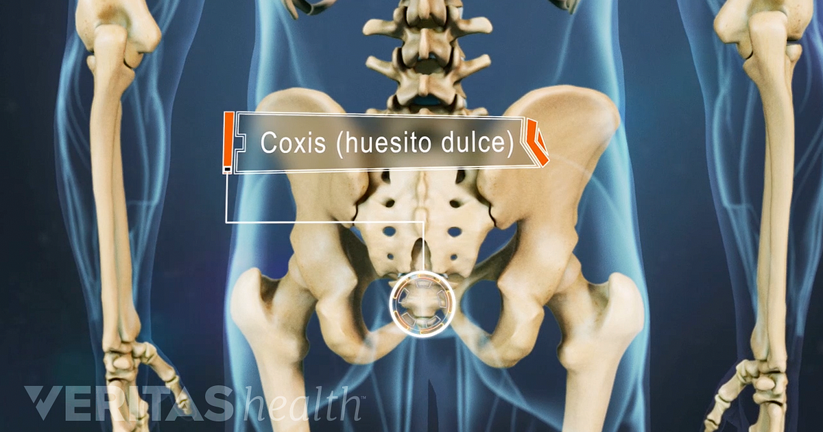Porque duele el coxis embarazada